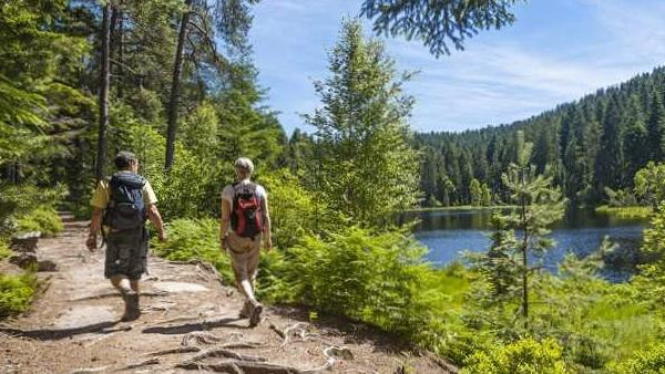 Hiking in the Black Forest 